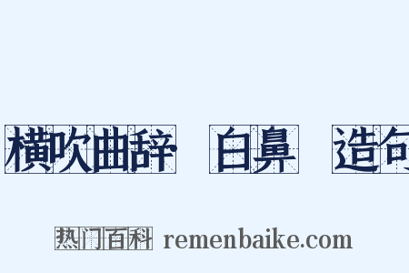 横吹曲辞·白鼻䯄造句是什么意思的图片